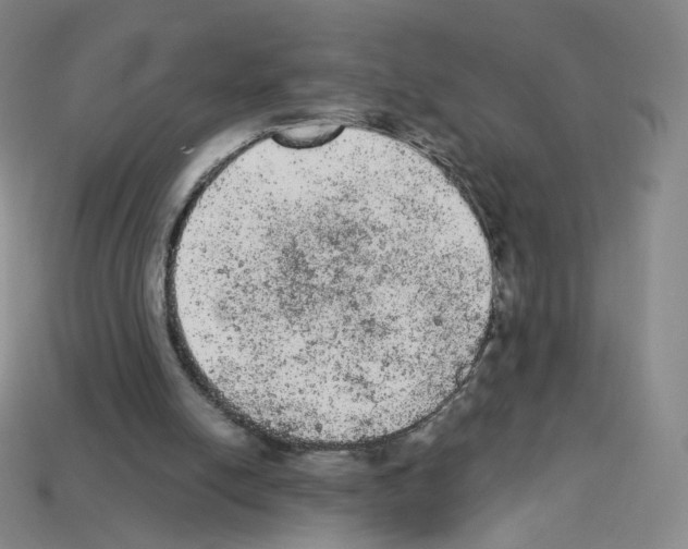 X0000112780054200910011306