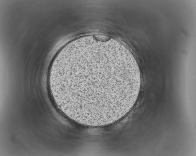 X0000112780055200910011306