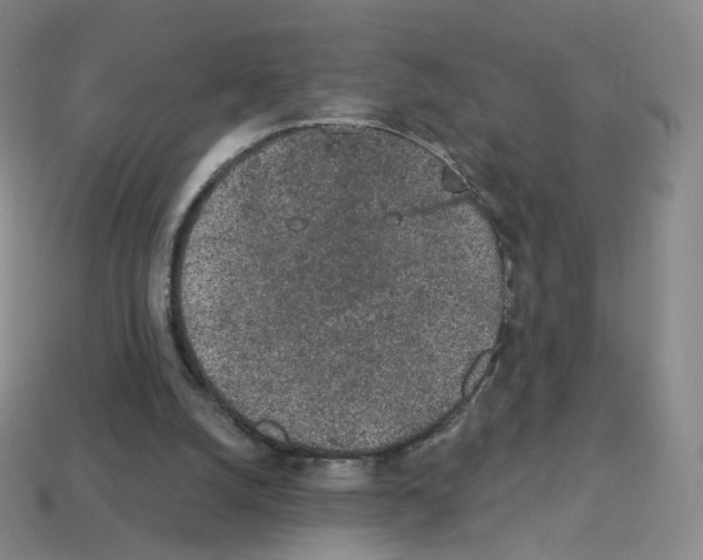 X0000112780056200910011306