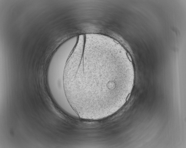 X0000112780057200910011306