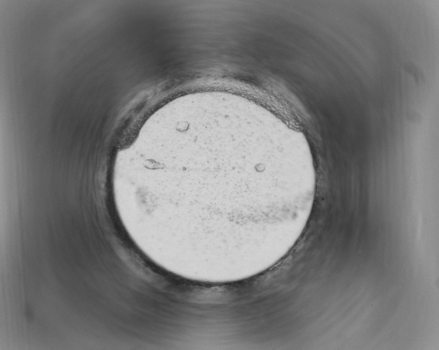 X0000112780058200910011306