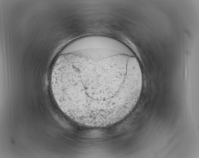 X0000112780059200910011306