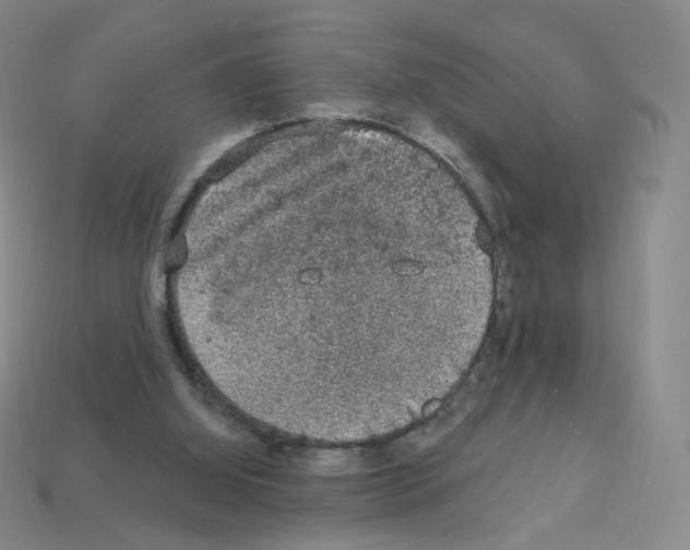 X0000112780060200910011306