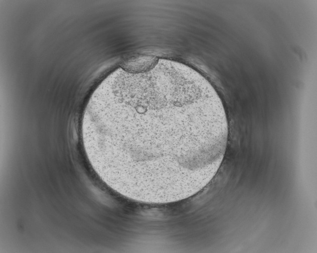 X0000112780062200910011306