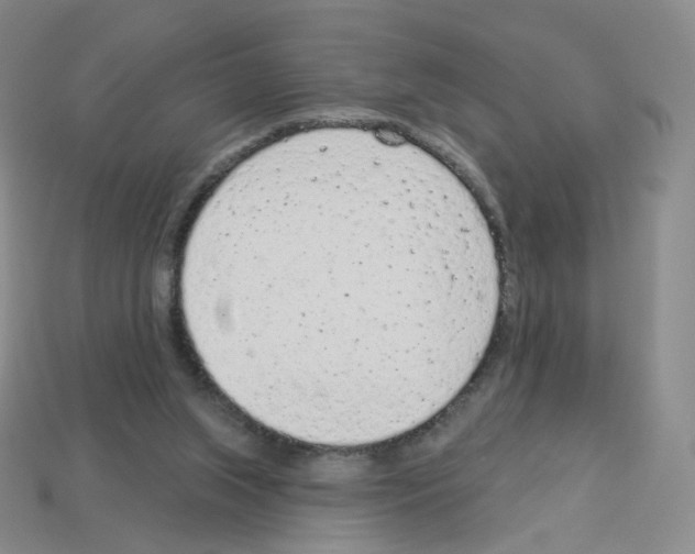 X0000112780063200910011306