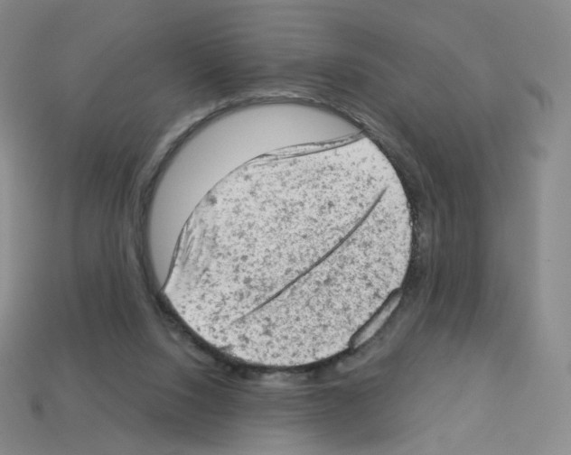 X0000112780064200910011306