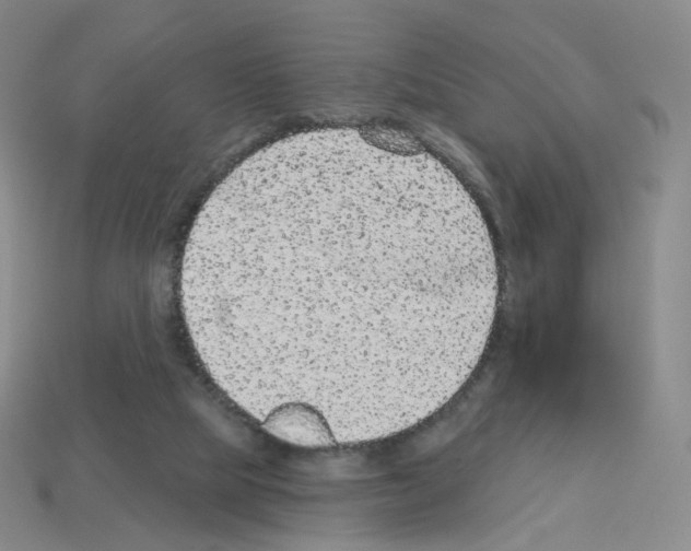 X0000112780065200910011306