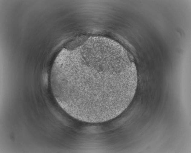 X0000112780067200910011306