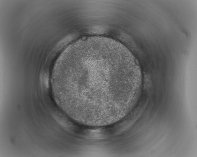 X0000112780068200910011306