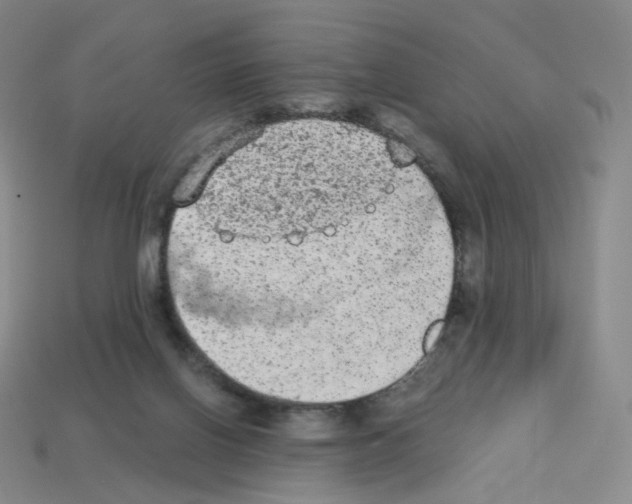 X0000112780070200910011306