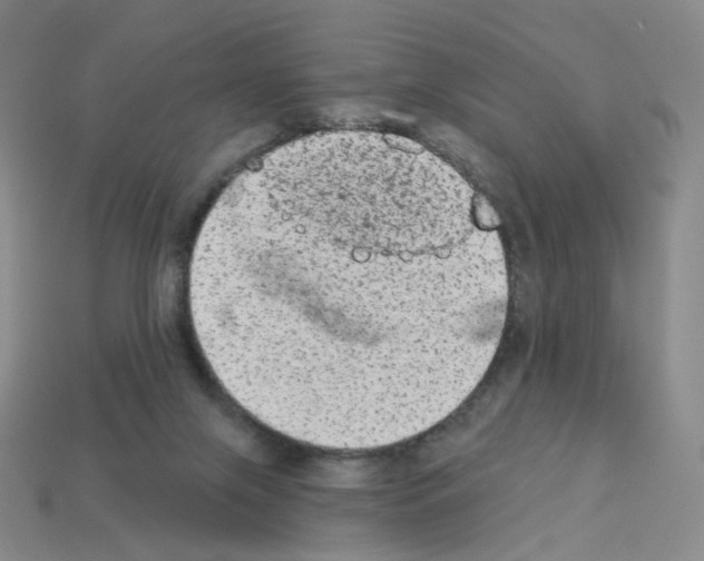 X0000112780071200910011306