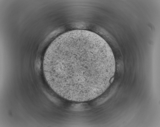 X0000112780072200910011306