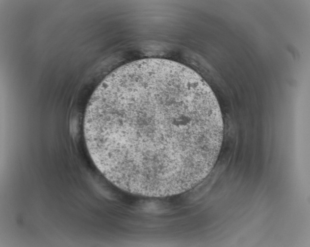 X0000112780074200910011306