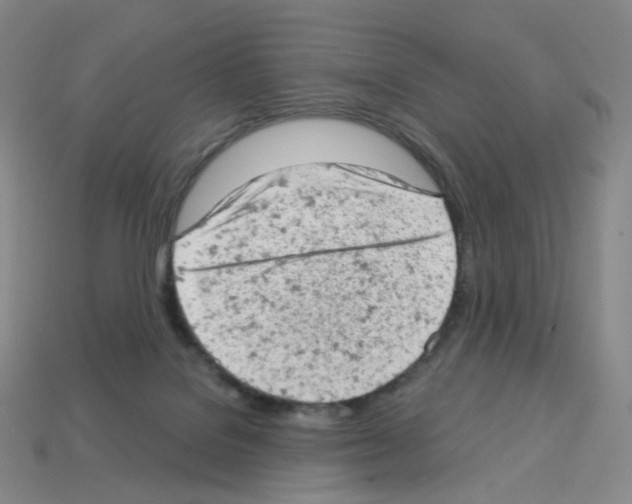 X0000112780076200910011306