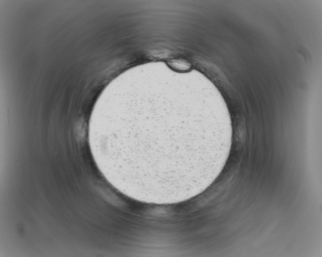 X0000112780081200910011306