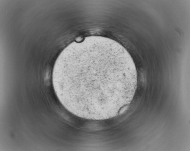 X0000112780082200910011306