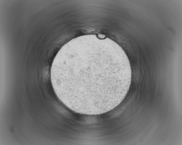 X0000112780085200910011306