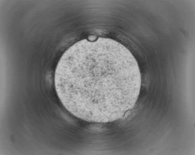 X0000112780086200910011306