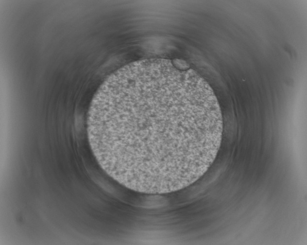 X0000112780087200910011306