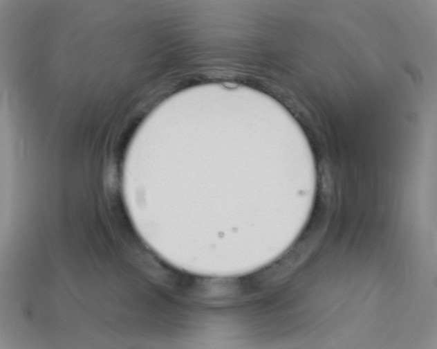 X0000112780089200910011306