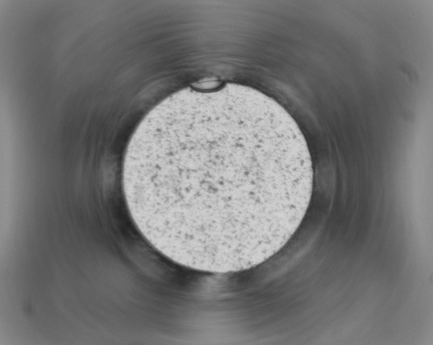 X0000112780092200910011306