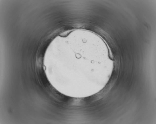 X0000112780093200910011306