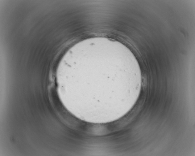 X0000112780095200910011306