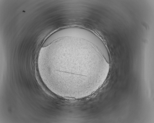 X0000112780097200910011306