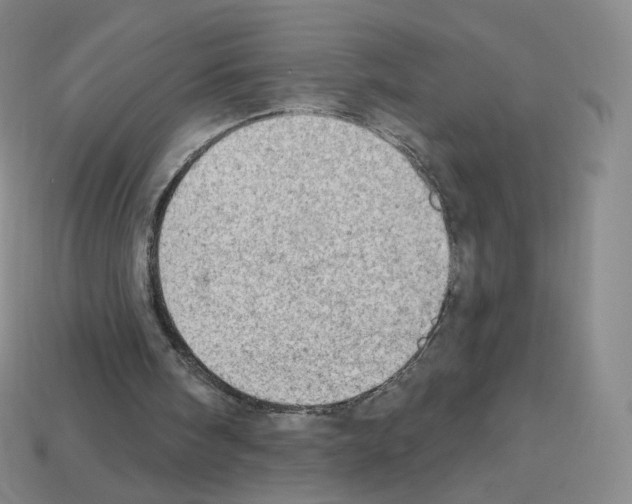 X0000112780098200910011306