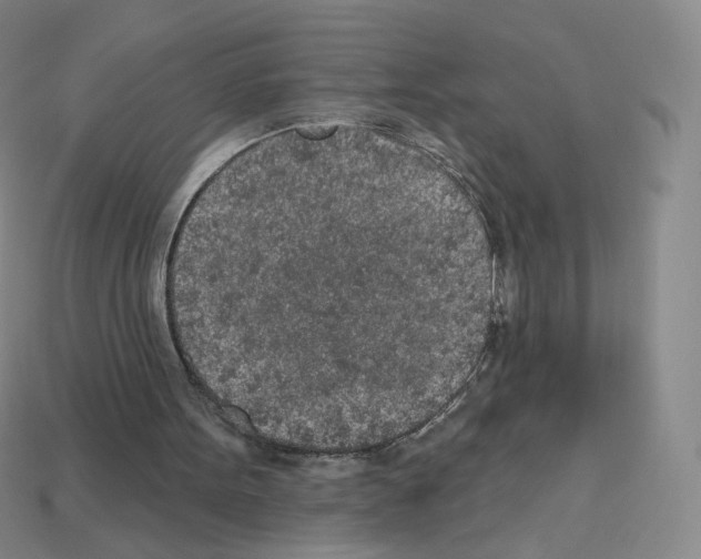 X0000112780099200910011306