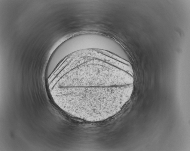 X0000112780100200910011306