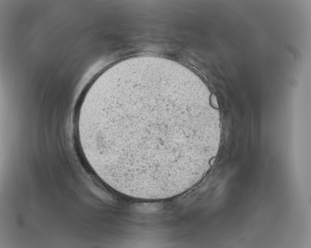 X0000112780102200910011306