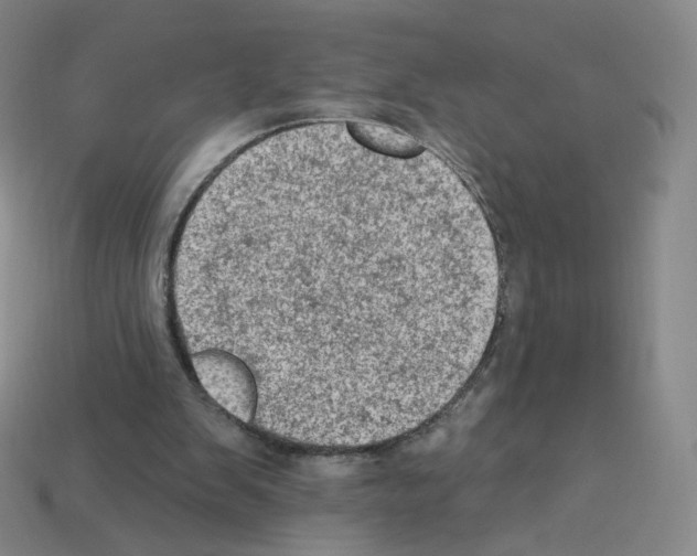 X0000112780103200910011306