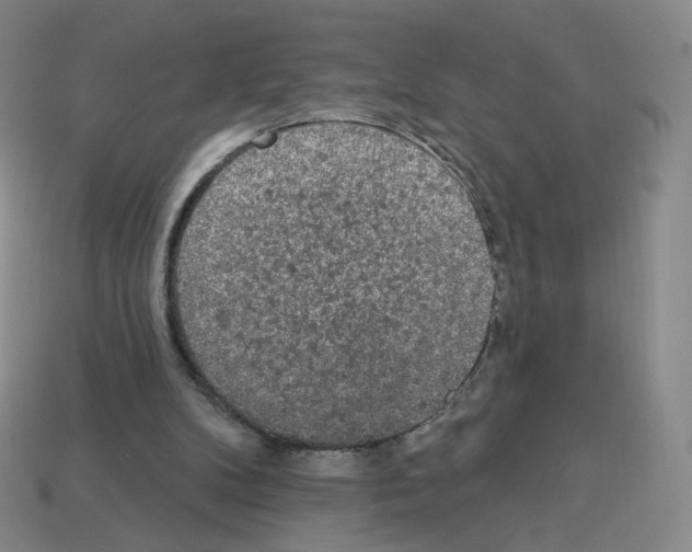 X0000112780104200910011306