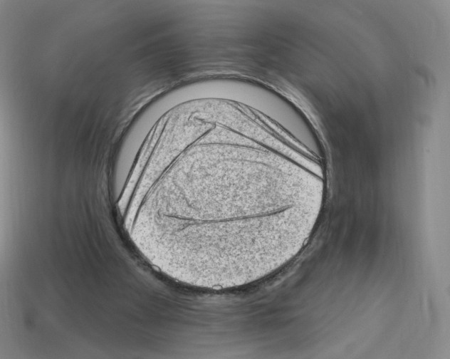 X0000112780105200910011306