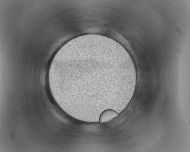 X0000112780106200910011306