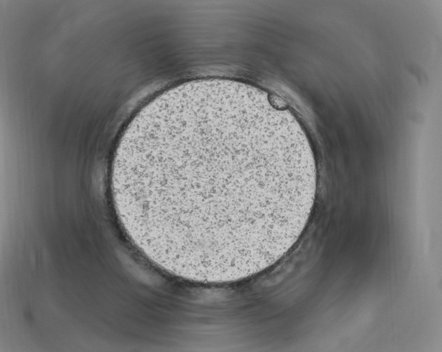 X0000112780107200910011306