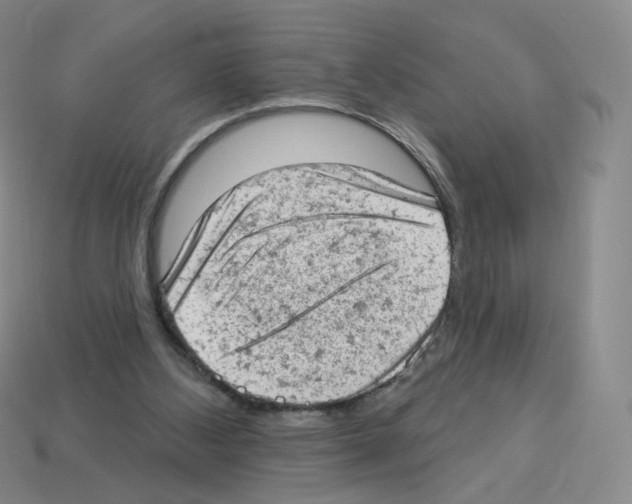 X0000112780108200910011306