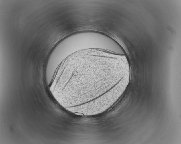 X0000112780109200910011306