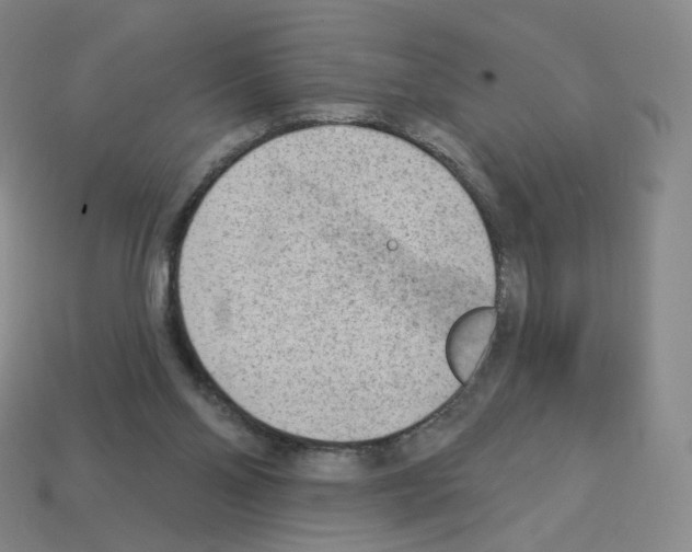 X0000112780110200910011306