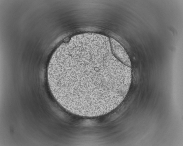 X0000112780111200910011306