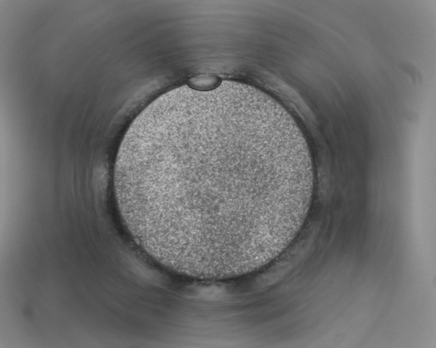 X0000112780113200910011306