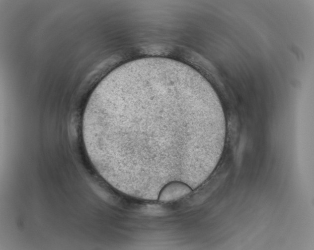 X0000112780114200910011306