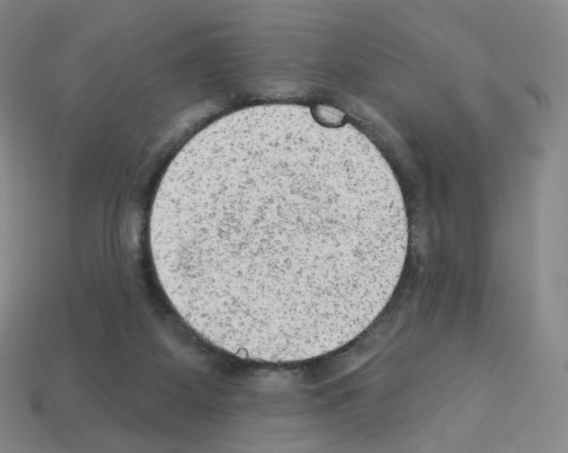 X0000112780115200910011306