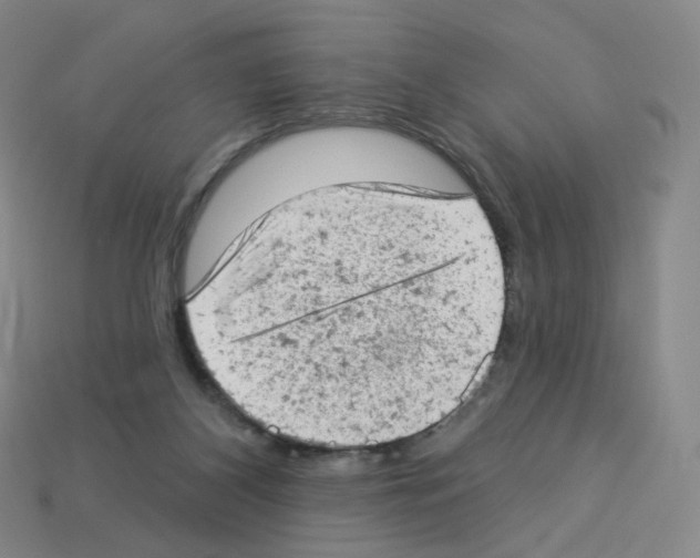 X0000112780116200910011306