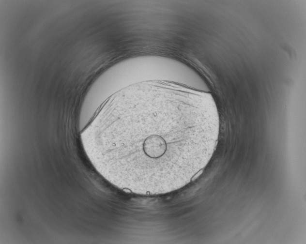 X0000112780117200910011306