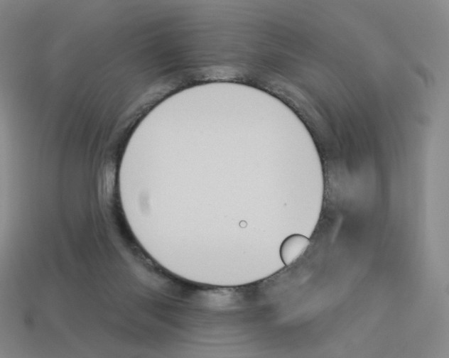 X0000112780118200910011306