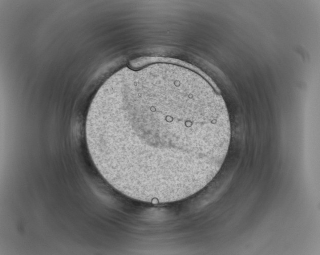 X0000112780119200910011306