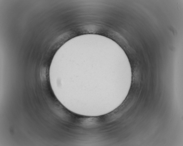 X0000112780122200910011306