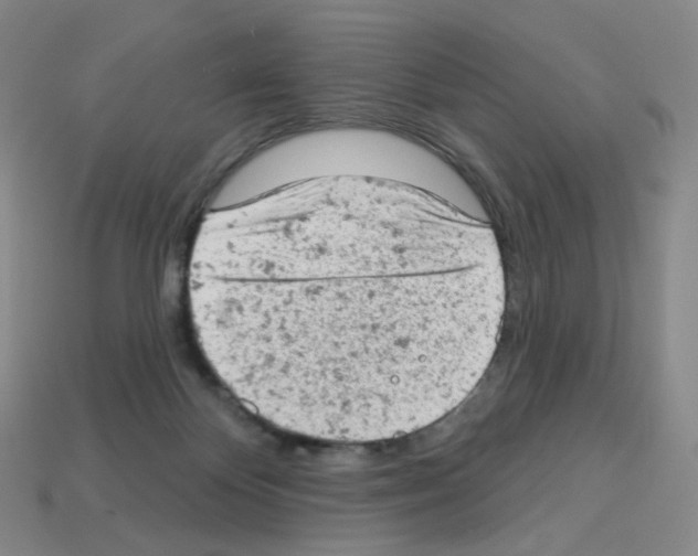 X0000112780124200910011305